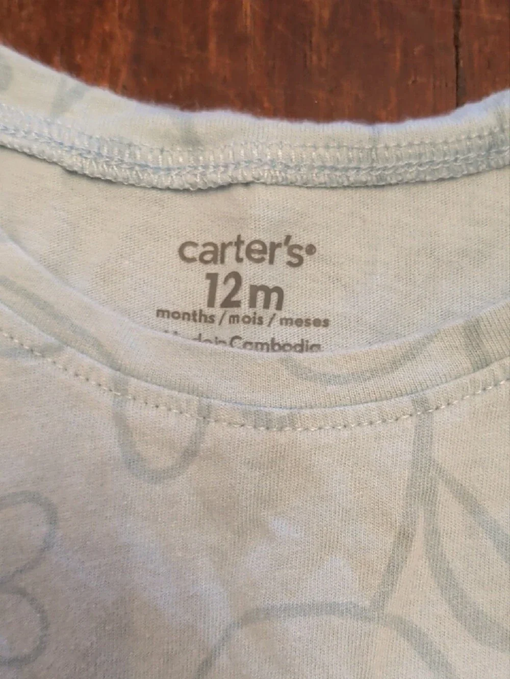 Carter's Pale Blue Floral & Ladybug Pajama Set